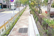 광양시, 서초등학교 일원 자녀안심 그린숲 조성