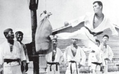 세계 시니어 태권도 연맹, 금산에서 13일 창설