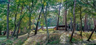 부여군, 만수산자연휴양림 100대 명품숲 선정