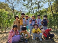 보은삼산초병설유치원, 속리산 푸른 숲에 가다