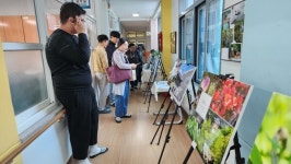 심천초등학교 사진 전시회로 가을을 물들이다