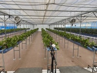 안동시, 스마트농업 테스트베드 교육장 조성 지속가능한 미래 농업으로 대전환 박차