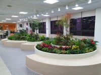 충주시, 공기정화와 휴식을 위한 실내정원 만들어