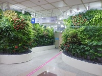 충주시, 공기정화와 휴식을 위한 실내정원 만들어