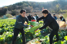 보은군, 수확철 맞아 농촌일손돕기 추진