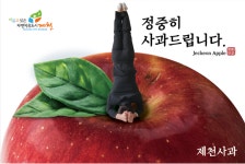 [충북농업기술원 서포터즈] 제천 가을농장 사과 맛 최고입니다