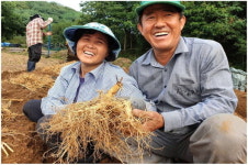 [충북농업기술원 SNS 서포터즈] 이충근 삼남자 인삼농장 탐방