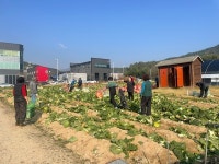 공영도시농업농장에서 이웃사랑 무럭무럭