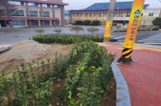 동이면 행정복지센터는 지금 황금사철로 힐링 중