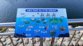 화순군 용대연못 자연생태 연못으로 탈바꿈