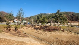 청주시, 2023년도 미세먼지 차단 숲 조성사업 준공