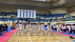 2023화랑대기 전국태권도대회 성료
