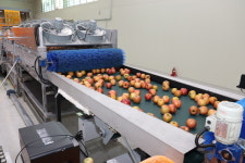 보은군 과수거점산지유통센터, 매출액 104억원 달성