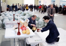 푸른 봄의 전령하동 취나물 출하 시작