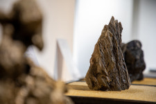 문학적 풍미 담은 수석전시회 개최