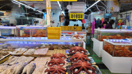 대구도매시장에서 국내산 수산물 사시면 온누리상품권 드려요!