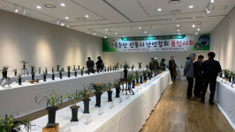 「제27회 안동시난연합회 한국춘란 전시회」 개최