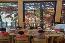 대전목재문화체험장, 나무상상놀이터에서 놀자