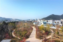 광양시, 도심 속 자연을 조성하는 「광양 도시바람길숲」 추진