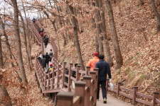 영동군, 양산팔경 금강둘레길 걸으며 힐링 만끽