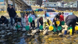 하동군, 화개천에 어린 은어·연어 무상 방류