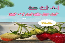 [영상뉴스] 논산 딸기의 맛과 향을 경험하라, 딸기삼촌농장으로의 여정