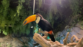 [영상 / 포토] 동물 친구들과의 특별한 만남, 주렁주렁