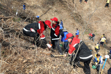 안동시, 식목일 맞이 나무심기 행사 가져