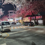 대구광역시, 특색있는 골목상권 제대로 키운다