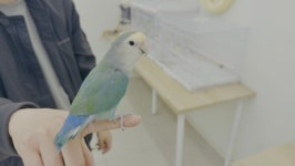 [포토 / 영상] 서울 종로구 대학로, 동물과의 소중한 만남을 선사하는 미어캣파크