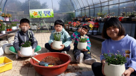 매곡초, 별(★)빛 정원 봄꽃 가꾸기