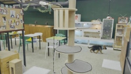 [영상 / 포토] 건대입구역의 이색 체험, 동물다방 에서의 특별한 하루