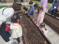 꼬마농부 모여라! 공주시 농업기술센터 꼬마텃밭 운영