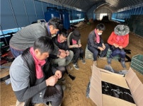 강원특별자치도축산기술연구소, 지역 상생 농촌 일손돕기 나서