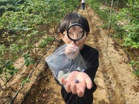 초강초, 아이꿈 키움 지역 체험 실시