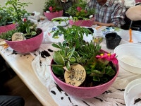 송학면 지역사회보장협의체, 찾아가는 원예교실 운영