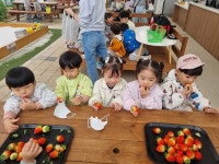 천안꽃마루유치원, 달콤한 냄새, 상큼한 맛 딸기농장 현장체험학습 실시