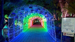 [영상 / 포토] 안산 별빛마을포토랜드, 일 년 내내 펼쳐지는 빛과 자연의 향연 안산별빛축제