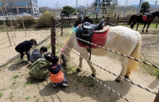 두학초병설유치원특별한 방과후, 파란 하늘을 가르며 말을 타요
