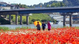 제20회 영산포 홍어 축제 24~26일 개막