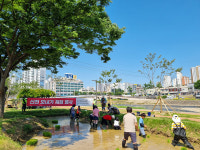 대구공공시설관리공단,  신천둔치 논‧둠벙 모내기 체험행사 개최
