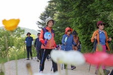 횡성군보건소, 스틱 모아 함께 걷기 진행