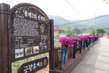 금왕읍 용계2리 마을 정원, 5월 막바지 봄꽃의 향연