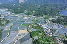 영동, 은빛 물결 포도하우스