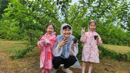 충북 100인의 아빠단오디 따기 체험활동 실시