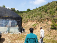 부여군 충화면, 여름철 산사태 취약지역 점검 나서