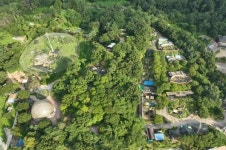 바람이 딸 사자도 청주동물원으로! 동물사랑에 진심인 청주시