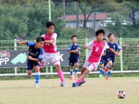 2024 화랑대기 전국 유소년 축구대회, 경주서 15일간 열전 성공적 마무리