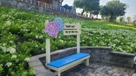 화순 남산공원 준공...도심 속 정원으로 재탄생