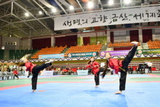 [포토] 제4회 금산국제무예올림피아드, 시니어 태권도 대회